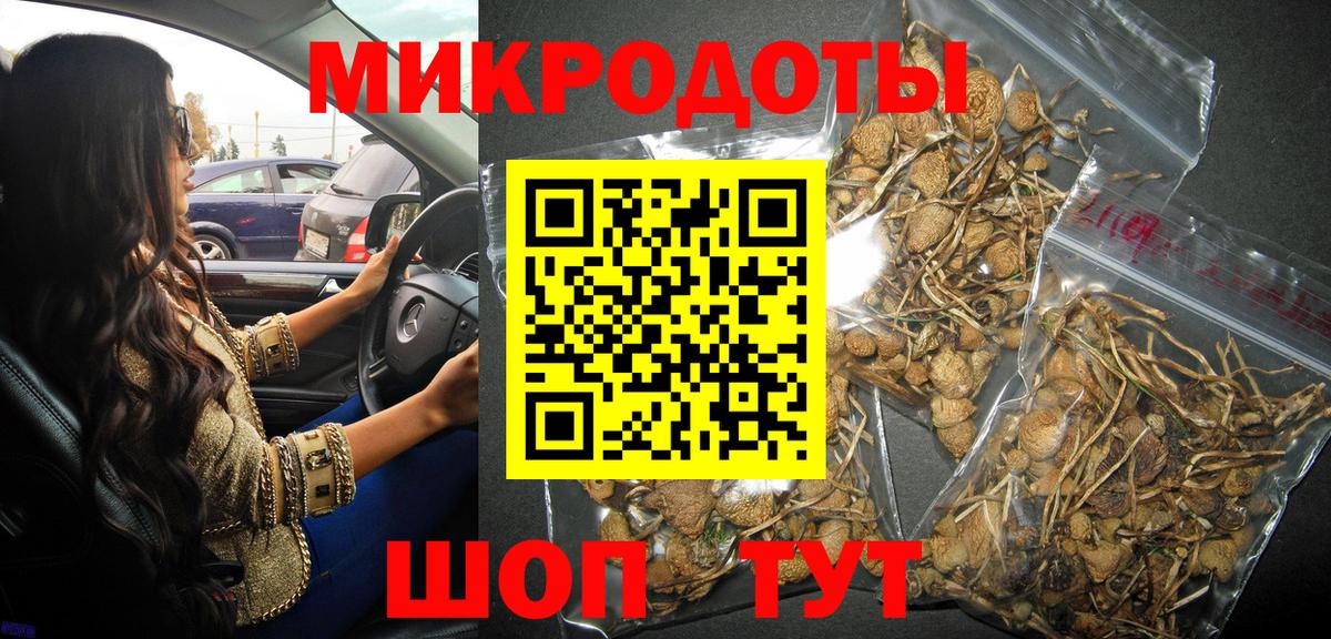Тимашёвск  Псилоцибиновые грибы Psilocybine cubensis  Вход с VPN 