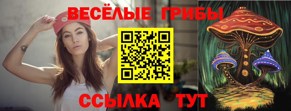 Галлюциногенные грибы мицелий Тимашёвск